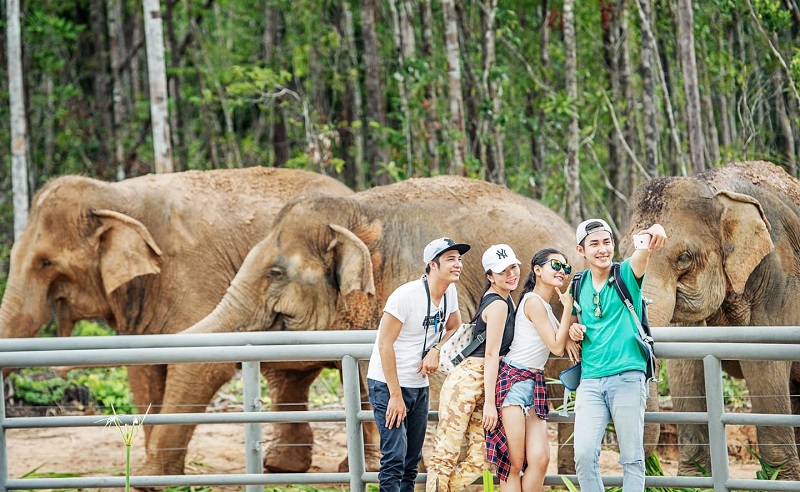 Sở thú Vinpearl Safari Phú Quốc